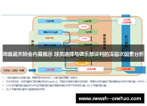 胡桑诺夫转会内幕揭示 球员选择与俱乐部谈判的深层次因素分析