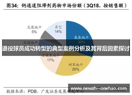 退役球员成功转型的典型案例分析及其背后因素探讨