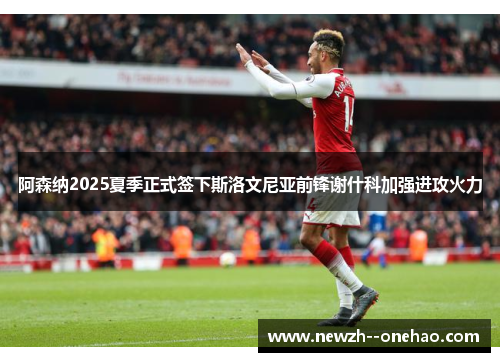 阿森纳2025夏季正式签下斯洛文尼亚前锋谢什科加强进攻火力