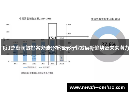 飞汀杰蔚阀敏排名突破分析揭示行业发展新趋势及未来潜力